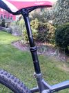 Dartmoor Primal 29