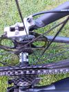 Dartmoor Primal 29