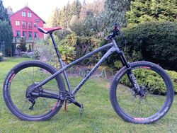 Dartmoor Primal 29
