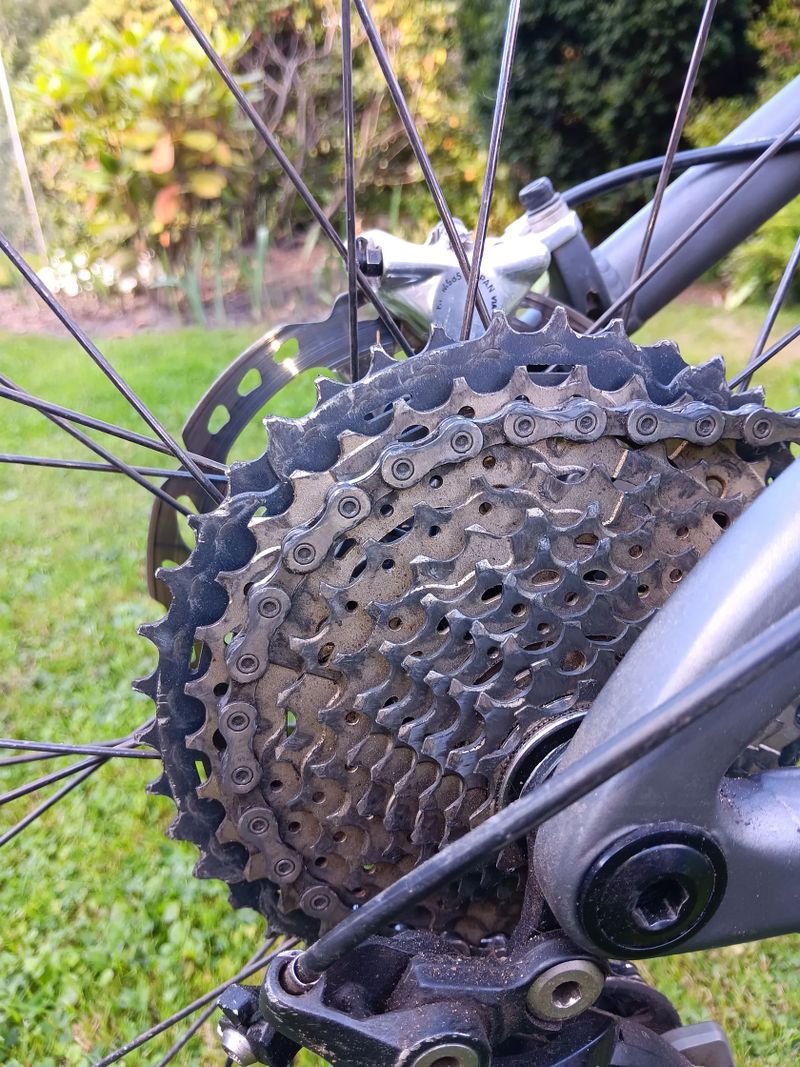 Dartmoor Primal 29