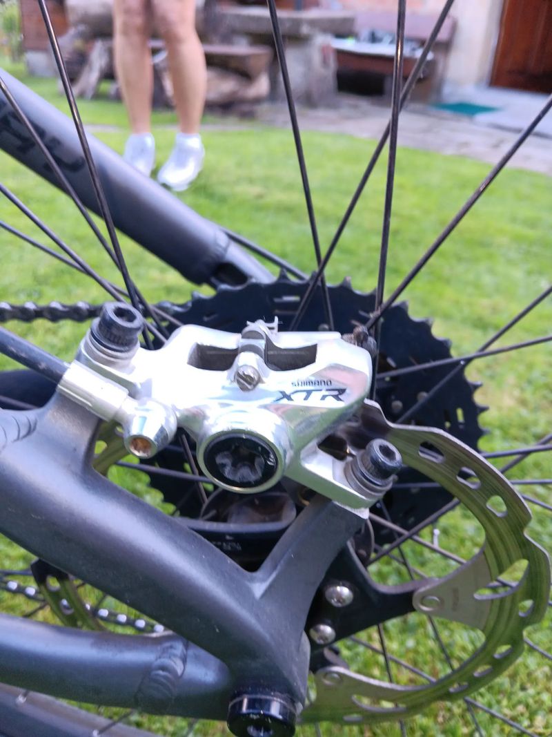 Dartmoor Primal 29