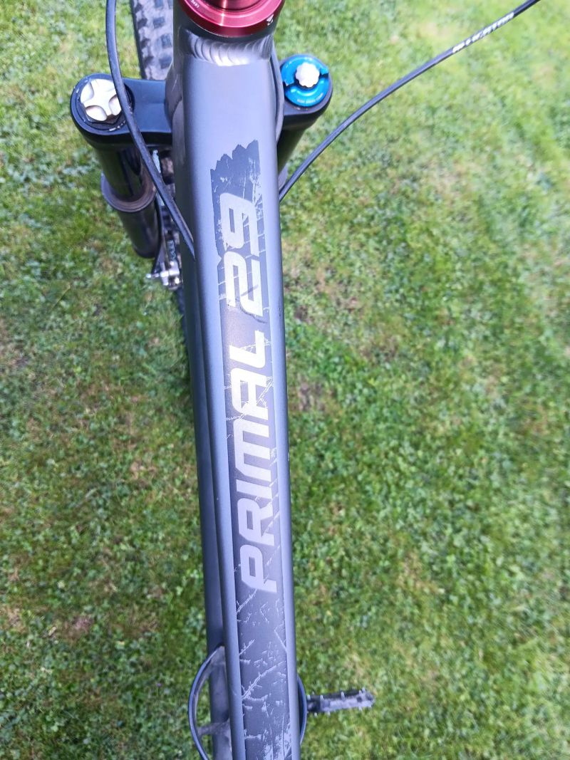 Dartmoor Primal 29