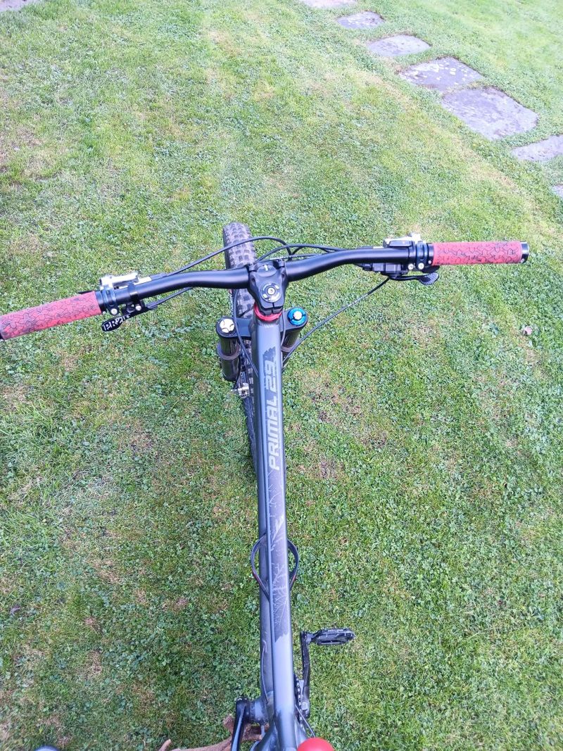 Dartmoor Primal 29