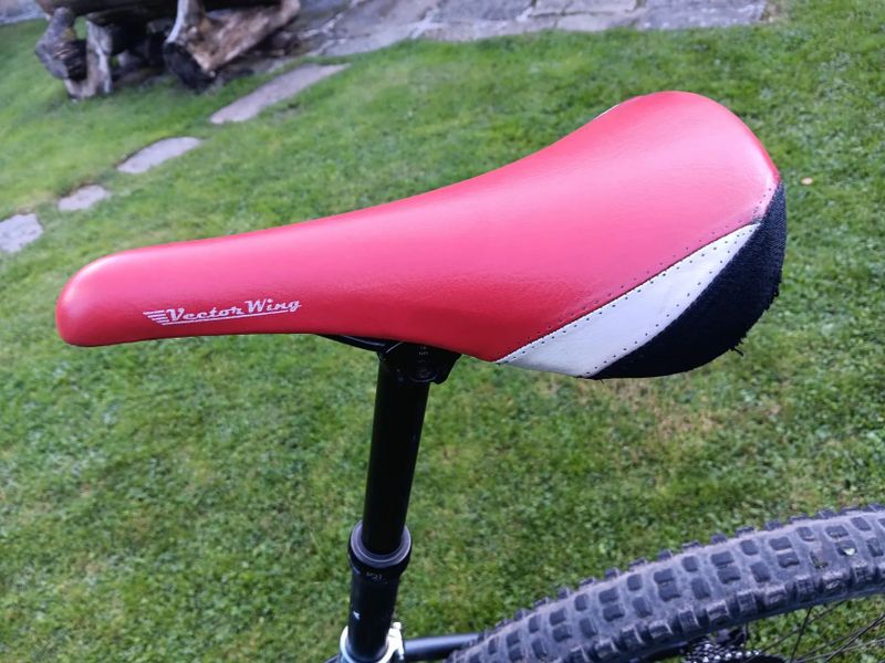 Dartmoor Primal 29