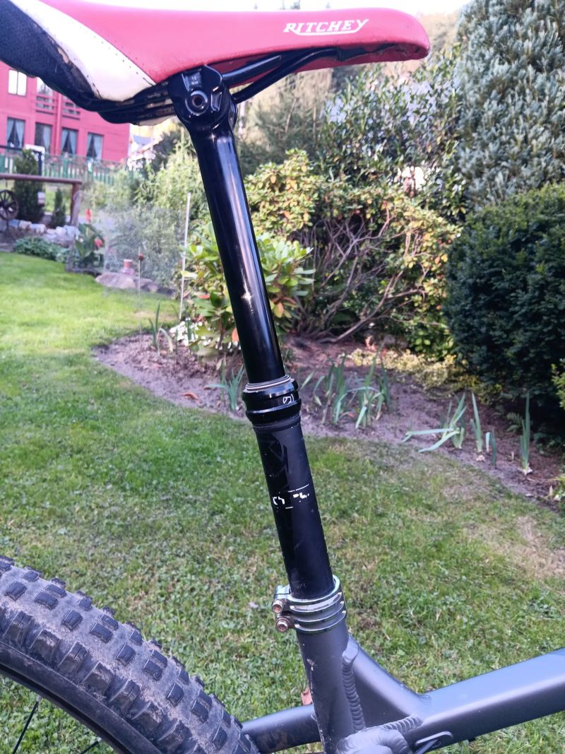 Dartmoor Primal 29