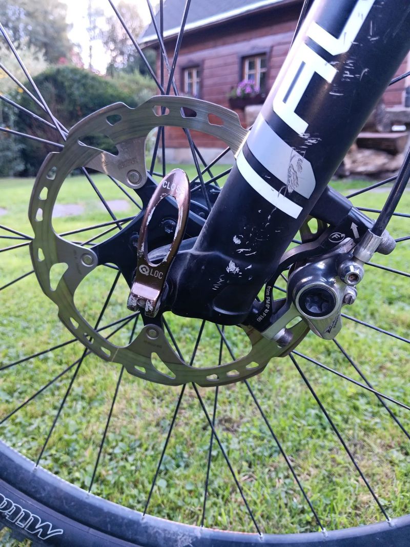 Dartmoor Primal 29