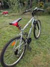topbike