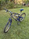 topbike mustang