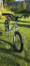 Early Rider Belter 16
