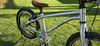 Early Rider Belter 16
