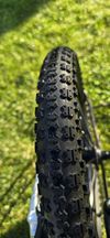 Early Rider Belter 16