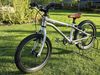 Early Rider Belter 16