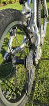 Early Rider Belter 16