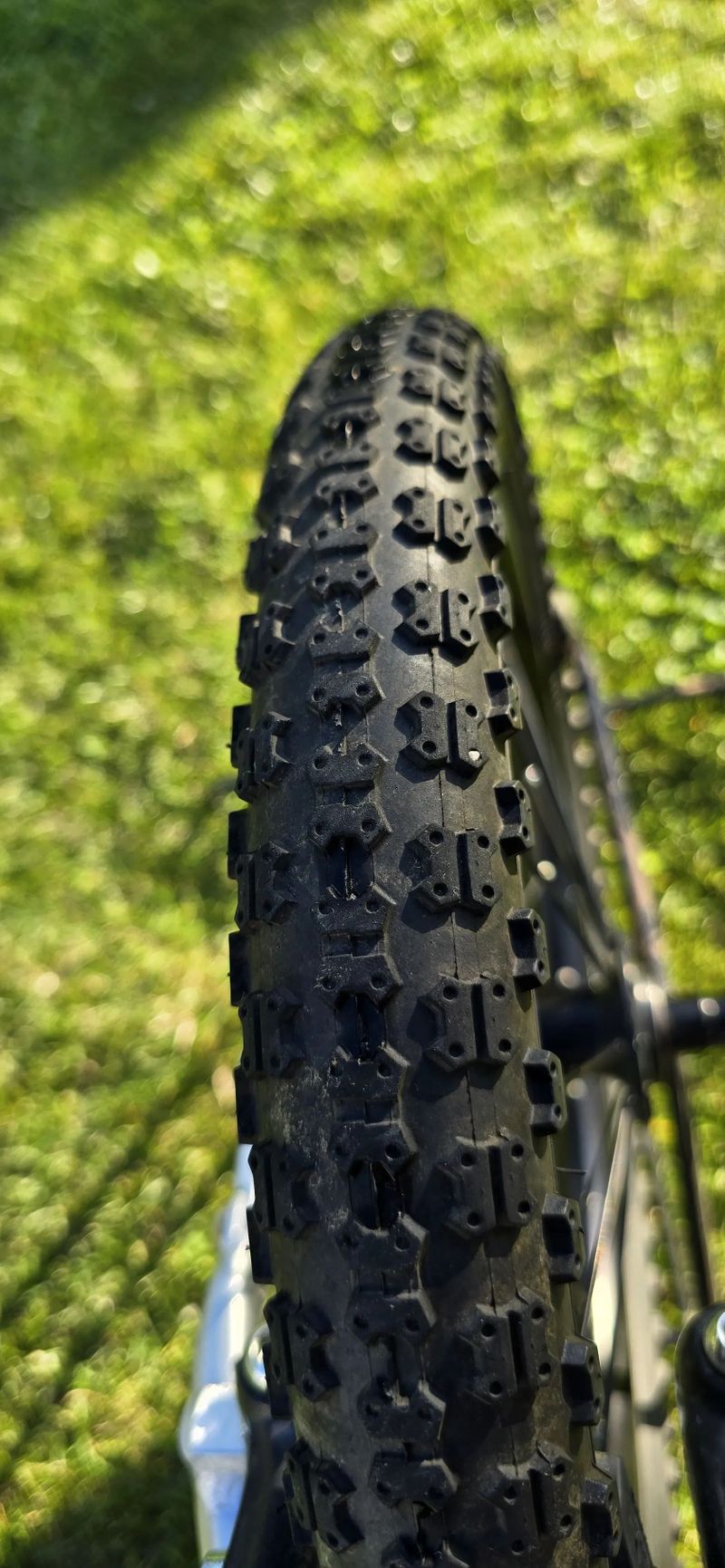 Early Rider Belter 16