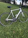 Canyon Endurace CF 7 WMN (170-178cm)