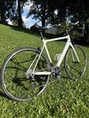 Canyon Endurace CF 7 WMN (170-178cm)