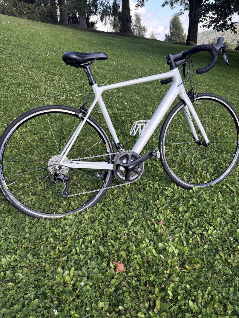 Canyon Endurace CF 7 WMN (170-178cm)
