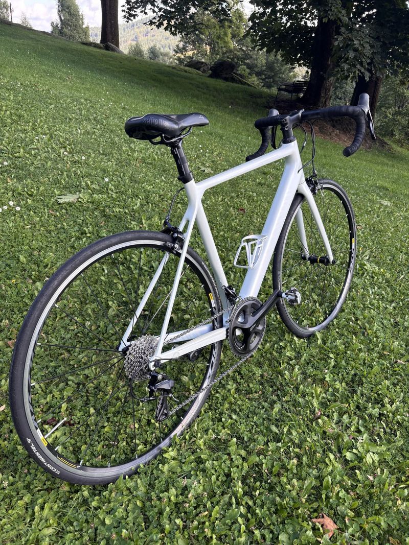Canyon Endurace CF 7 WMN (170-178cm)