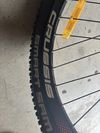Schwalbe