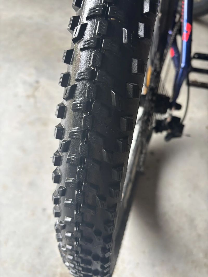 Schwalbe