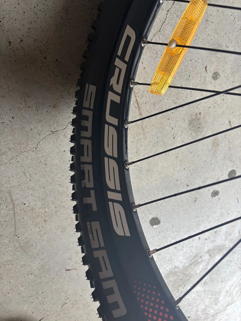 Schwalbe