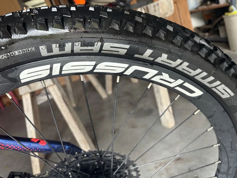Schwalbe