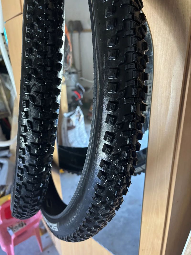 Schwalbe