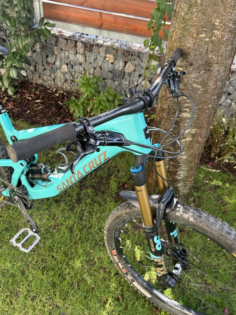 Santa Cruz Bronson 2019