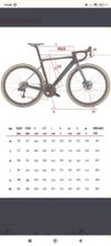 Wilier Rave SLR