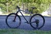 Scott Scale 910 (L) 10,7 kg