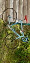 Willier Triestina