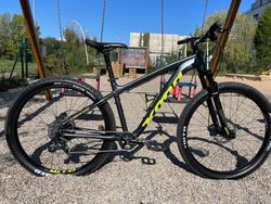 Kona Cinder Cone M 2019