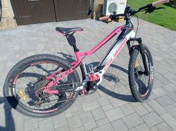 Crussis Crussis OLI Guera 8.6-M