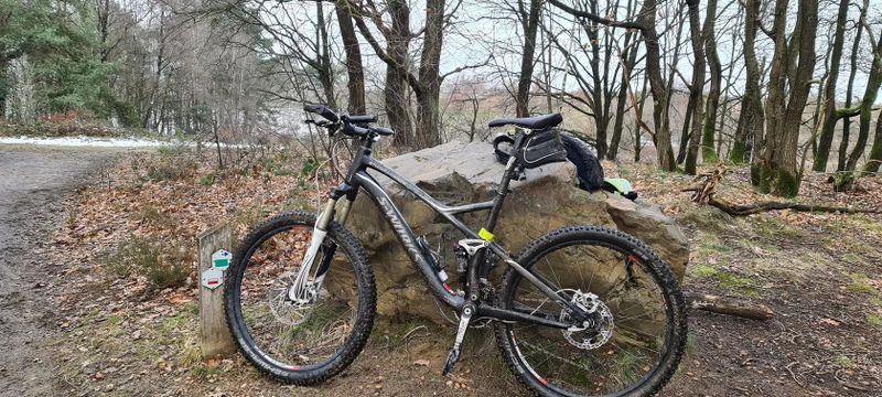 Stumpjumper S-WORKS