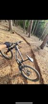 Santa Cruz Nomad V6 C S MX + Öhlins 180/170 vel. L