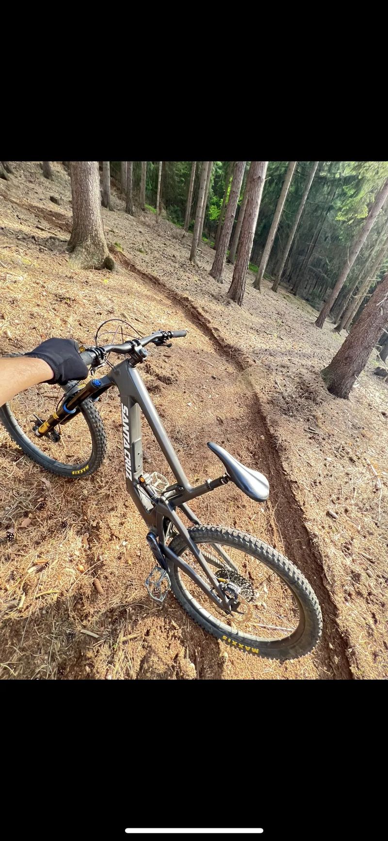 Santa Cruz Nomad V6 C S MX + Öhlins 180/170 vel. L