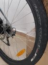 Specialized Hard Rock - levně!