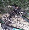 Enduro kolo Dartmoor blackbird 29" 2021 (M)