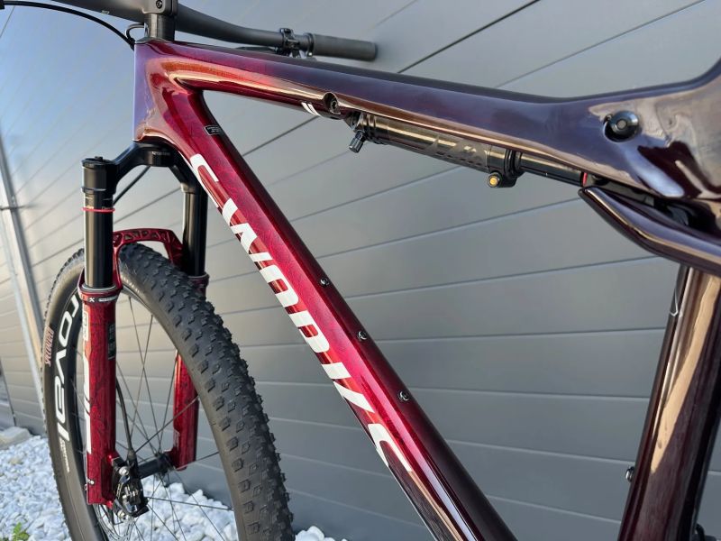 Specialized Epic S-Works WC, vel. L