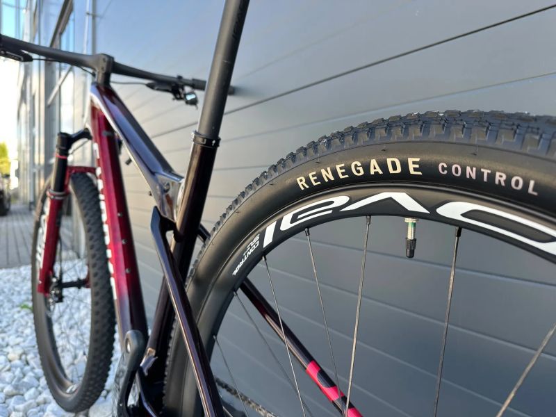 Specialized Epic S-Works WC, vel. L