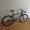 PROJECT VISIION 590