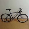 PROJECT VISIION 590