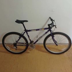 PROJECT VISIION 590