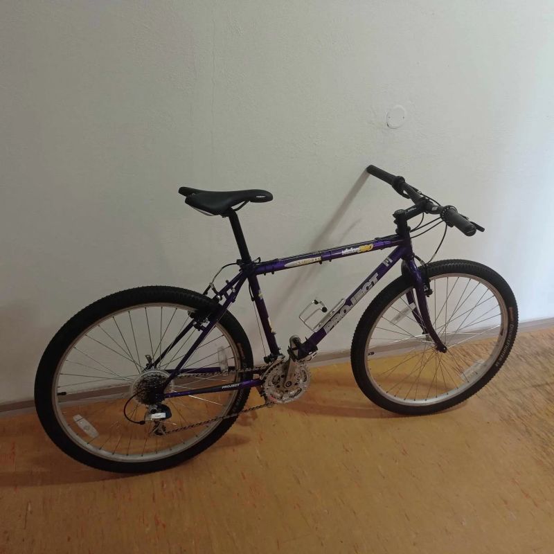 PROJECT VISIION 590