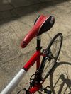 Pells Speedy