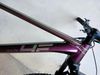 4EVER Yoga Purple 29 Lady