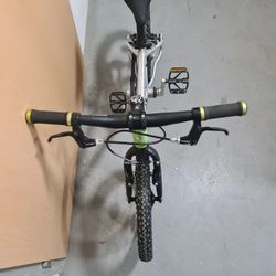 Early Rider 16