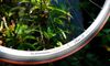 Merida 904 Carbon pro výšku 170 - 182