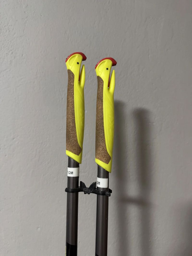 Běžkařské hole LEKI PRC700 CARBON FINVARIO 167cm