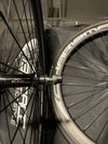 Pinarello Prince